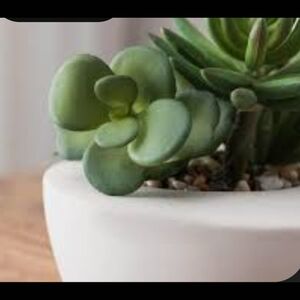 2 Lush Green Faux Succulent in Modern White Planter